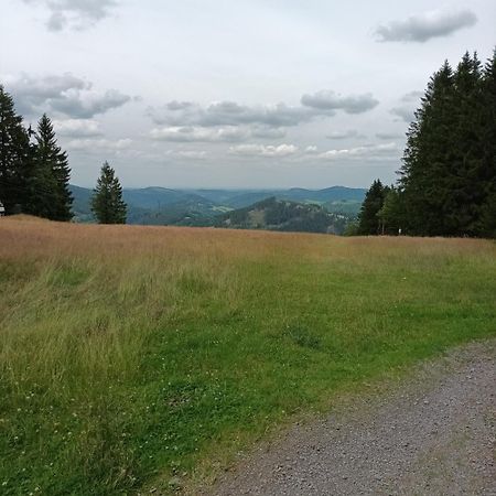 Ferienhaus Usseln Willingen  Eksteriør bilde